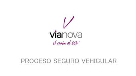 PROCESO SEGURO VEHICULAR