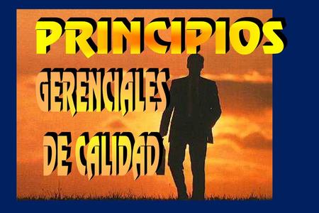 PRINCIPIOS GERENCIALES DE CALIDAD.