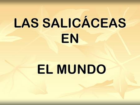 LAS SALICÁCEAS EN EL MUNDO