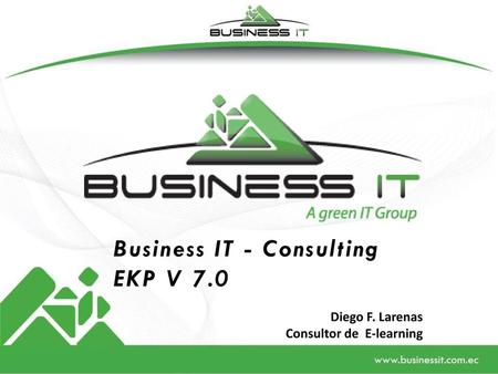 Business IT - Consulting EKP V 7.0