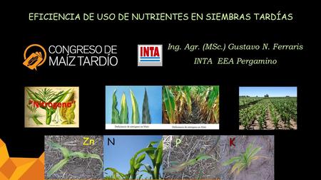 K P Zn N EFICIENCIA DE USO DE NUTRIENTES EN SIEMBRAS TARDÍAS