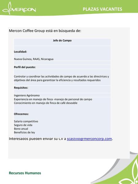 PLAZAS VACANTES Mercon Coffee Group está en búsqueda de: