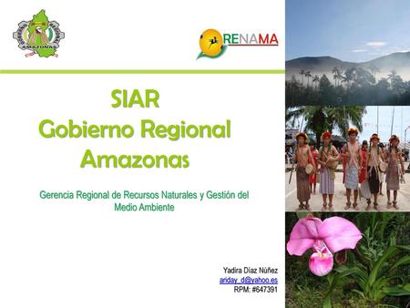 Gobierno Regional Amazonas