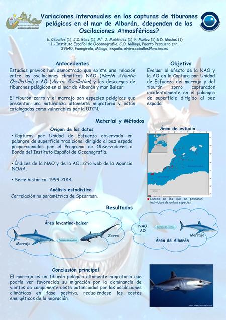 Variaciones interanuales en las capturas de tiburones pelágicos en el mar de Alborán, ¿dependen de las Oscilaciones Atmosféricas? E. Ceballos (1), J.C.