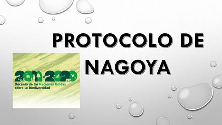PROTOCOLO DE NAGOYA.