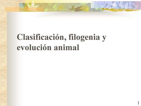 Clasificación, filogenia y evolución animal