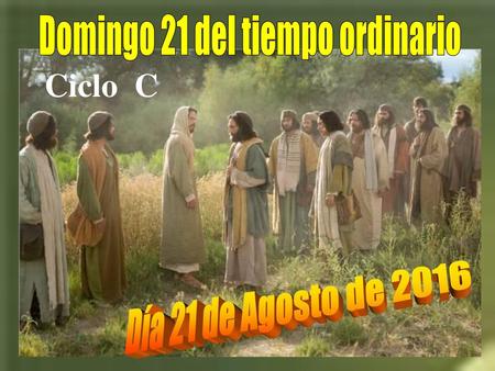 Domingo 21 del tiempo ordinario