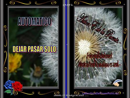 Musica:Azul la mañana es azul.-