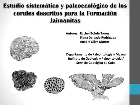 Autores: 	Rachel Bolufé Torres Iliana Delgado Rodríguez