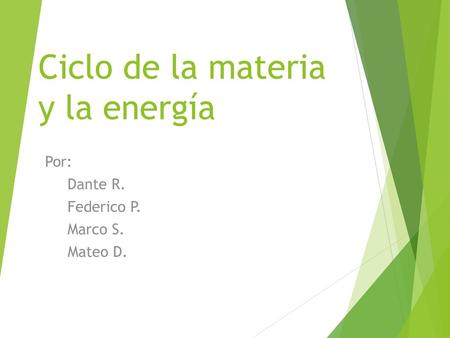 Ciclo de la materia y la energía