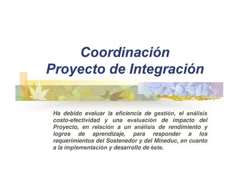 Coordinación Proyecto de Integración