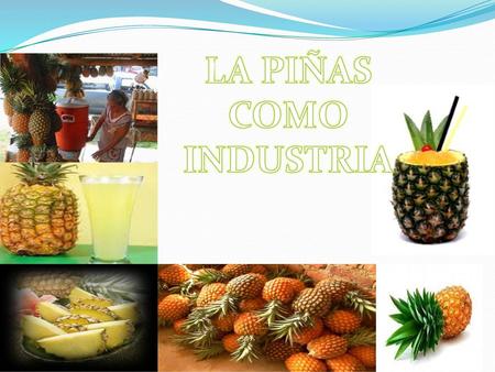 LA PIÑAS COMO INDUSTRIA