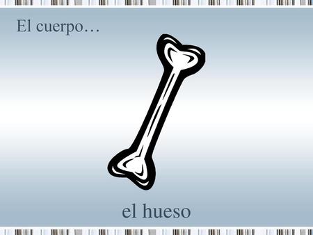 El cuerpo… el hueso.