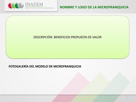 NOMBRE Y LOGO DE LA MICROFRANQUICIA