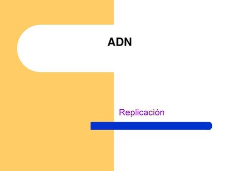 ADN Replicación.