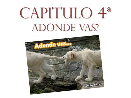 Capitulo 4ª Adonde vas?.