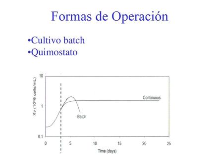 Cultivo batch Quimostato