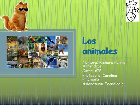 Los animales Nombre: Richard Porma Almendras Curso: 6ºB