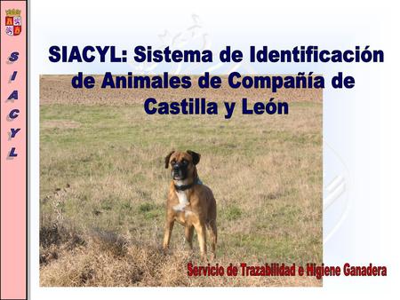 SIACYL: Sistema de Identificación de Animales de Compañía de