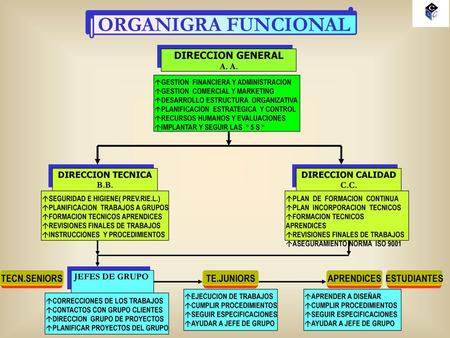 ORGANIGRA FUNCIONAL DIRECCION GENERAL TECN.SENIORS TE.JUNIORS
