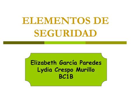ELEMENTOS DE SEGURIDAD