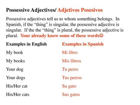 Possessive Adjectives/ Adjetivos Posesivos