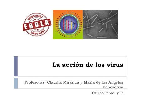 La acción de los virus Profesoras: Claudia Miranda y María de los Ángeles Echeverría Curso: 7mo y B.