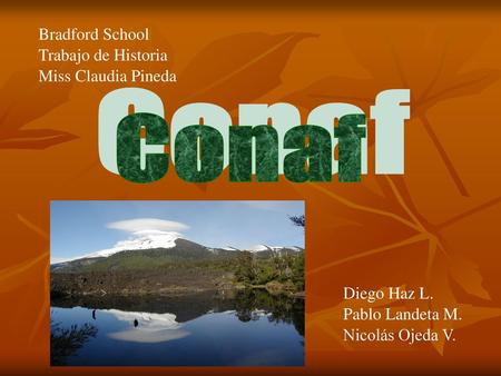 Conaf Bradford School Trabajo de Historia Miss Claudia Pineda