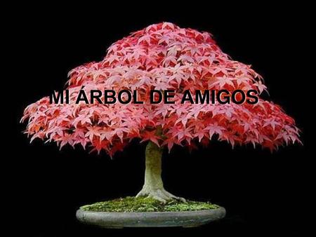 MI ÁRBOL DE AMIGOS.