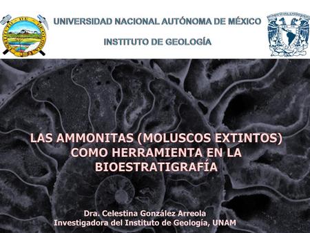 UNIVERSIDAD NACIONAL AUTÓNOMA DE MÉXICO