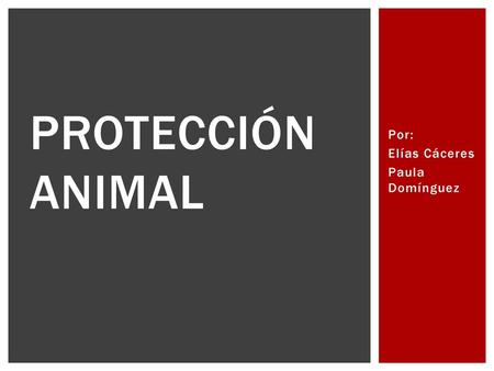 Por: Elías Cáceres Paula Domínguez
