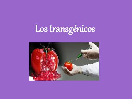 Los transgénicos.