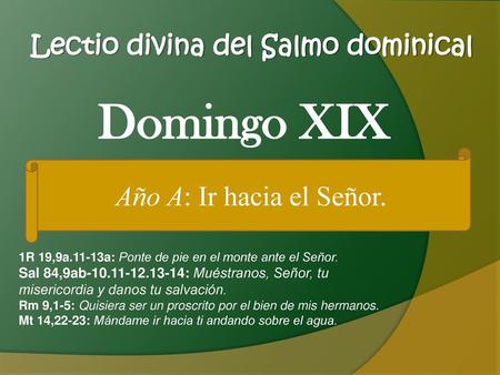 Lectio divina del Salmo dominical