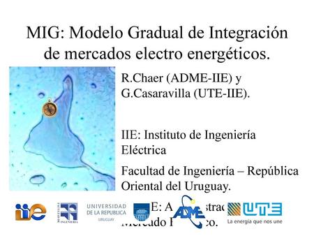 MIG: Modelo Gradual de Integración de mercados electro energéticos.