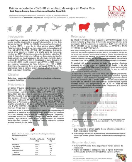 Animales analizados +/Total Primer reporte de VDVB-1B en un hato de ovejas en Costa Rica José Segura-Cubero, Antony Solórzano-Morales, Gaby Dolz Programa.
