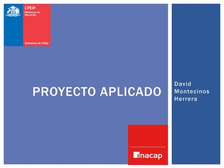 Proyecto Aplicado David Montecinos Herrera.