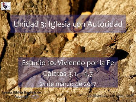 Unidad 3: Iglesia con Autoridad