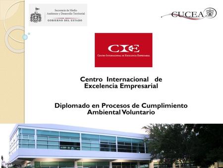 Centro Internacional de Excelencia Empresarial