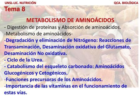 aminoácidos glucogénicos diabetes en niños