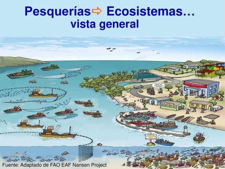 vista general Pesqueríasa Ecosistemas…