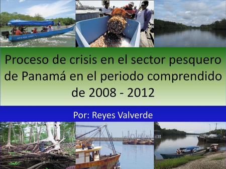Proceso de crisis en el sector pesquero de Panamá en el periodo comprendido de 2008 - 2012 Por: Reyes Valverde.