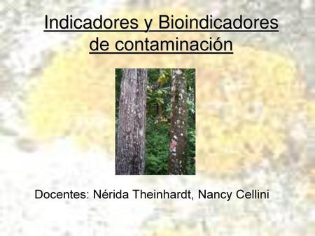 Docentes: Nérida Theinhardt, Nancy Cellini