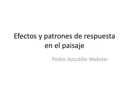 Efectos y patrones de respuesta en el paisaje