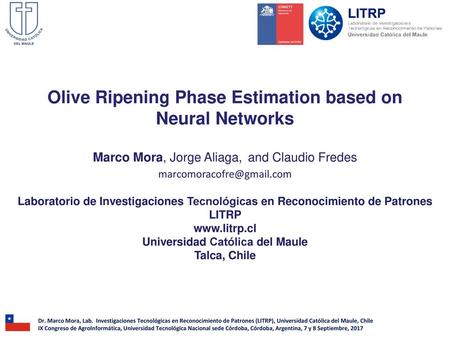 Olive Ripening Phase Estimation based on Neural Networks