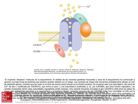 El incipiente “despiece” molecular de la esquizofrenia