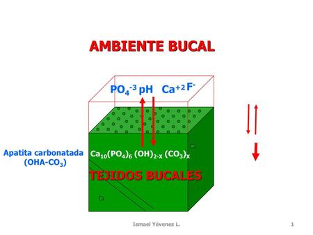AMBIENTE BUCAL TEJIDOS BUCALES F- PO4-3 pH Ca+2 Apatita carbonatada