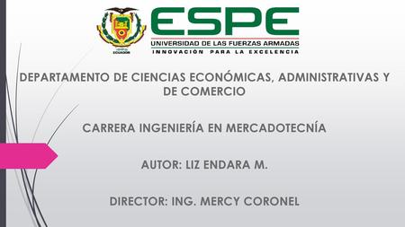 DEPARTAMENTO DE CIENCIAS ECONÓMICAS, ADMINISTRATIVAS Y DE COMERCIO