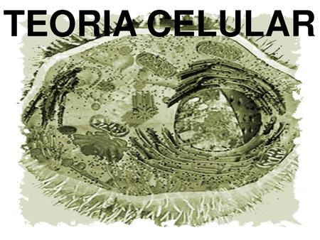 TEORIA CELULAR.