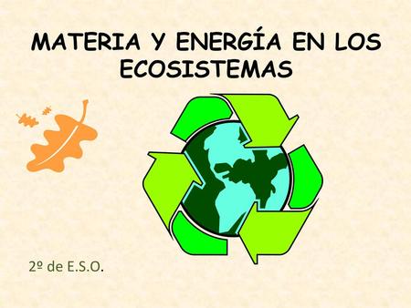 MATERIA Y ENERGÍA EN LOS ECOSISTEMAS