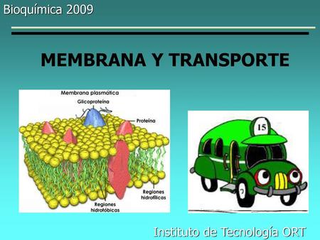 Bioquímica 2009 MEMBRANA Y TRANSPORTE Instituto de Tecnología ORT.